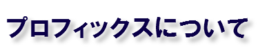 プロフィックスについて